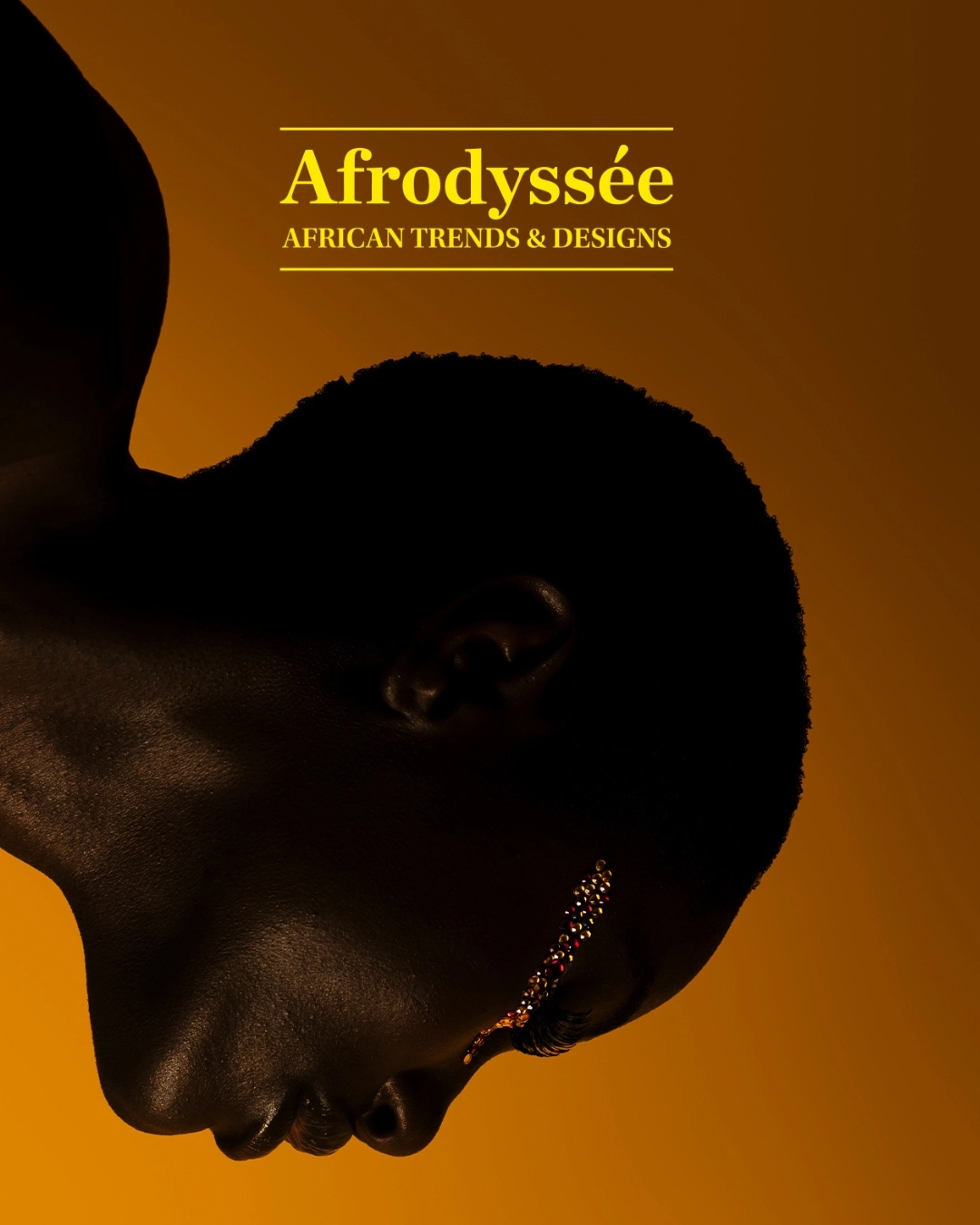Afrodyssée, un concept ambitieux