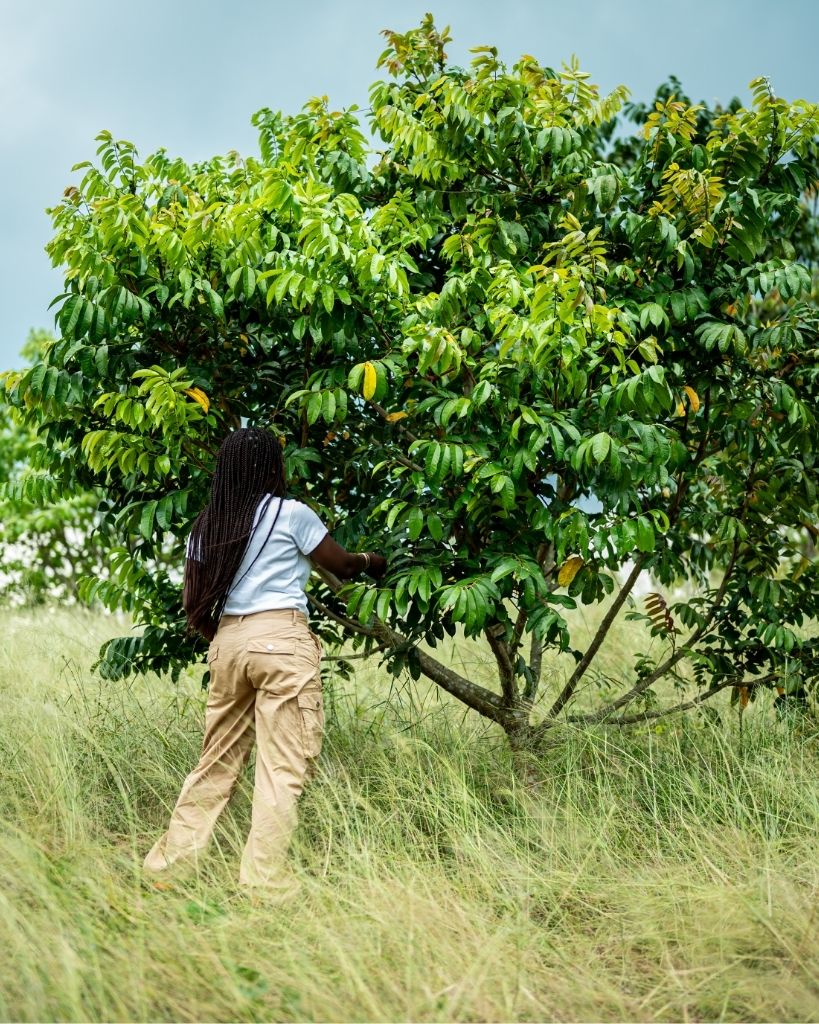 Koba Skincare x Kwandinobva