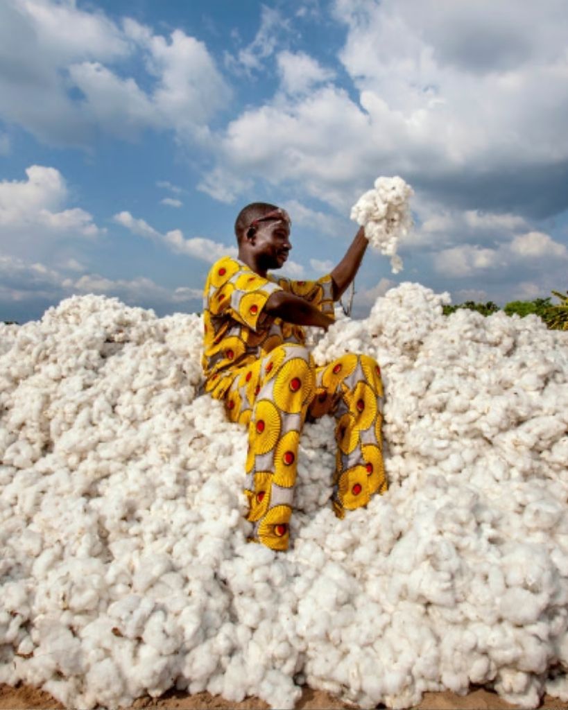 Cotton, textiles and clothing in Africa